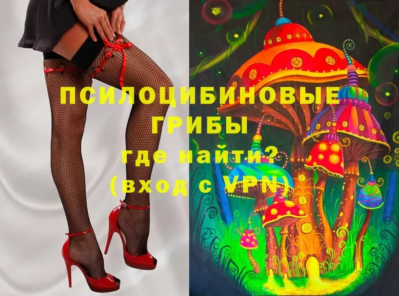 Псилоцибиновые грибы MAGIC MUSHROOMS  Бирюч 